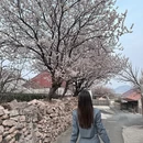青岛旅游 缩略图 1