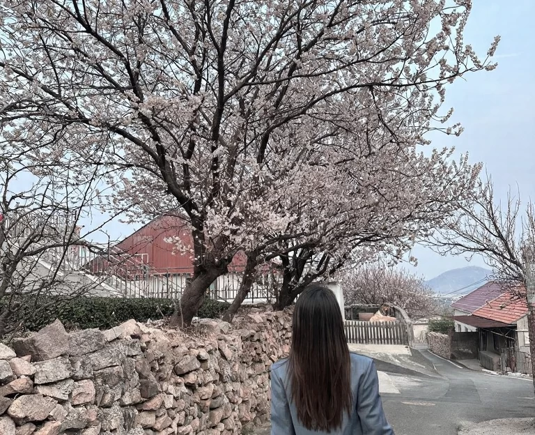 青岛旅游 1