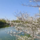 上海旅游 缩略图 12