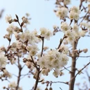 青岛旅游 缩略图 5