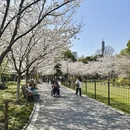 上海旅游 缩略图 15
