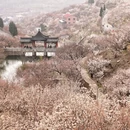 青岛旅游 缩略图 2