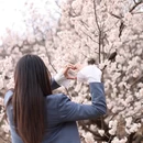 青岛旅游 缩略图 7