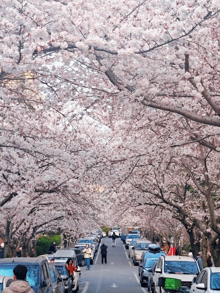 青岛旅游