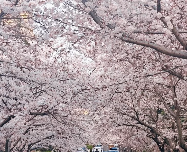青岛旅游 1
