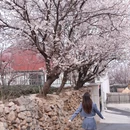 青岛旅游 缩略图 8