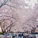 青岛旅游 缩略图 3