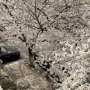青岛旅游 缩略图 2