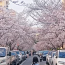 青岛旅游 缩略图 8