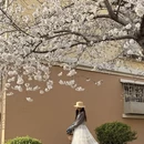 青岛旅游 缩略图 6