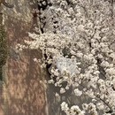 青岛旅游 缩略图 5