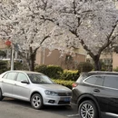 青岛旅游 缩略图 14