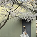 青岛旅游 缩略图 1