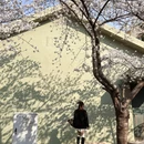 青岛旅游 缩略图 6