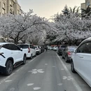 青岛旅游 缩略图 11