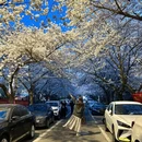 青岛旅游 缩略图 13