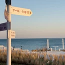 青岛旅游 缩略图 4