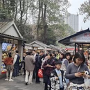 成都旅游 缩略图 6