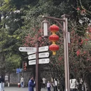 成都旅游 缩略图 7