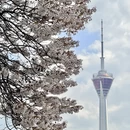 成都旅游 缩略图 2