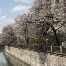 成都旅游 缩略图 7