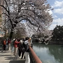 成都旅游 缩略图 8