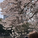 成都旅游 缩略图 3