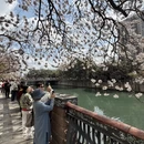 成都旅游 缩略图 6