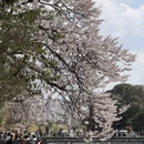 成都旅游 缩略图 5