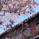 苏州旅游 缩略图 2