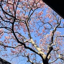 苏州旅游 缩略图 3
