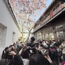 苏州旅游 缩略图 8