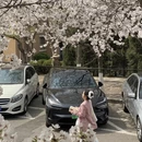 青岛旅游 缩略图 7