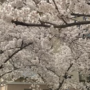 青岛旅游 缩略图 8