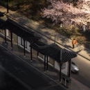 苏州旅游 缩略图 6