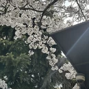青岛旅游 缩略图 10