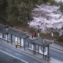 苏州旅游 缩略图 4