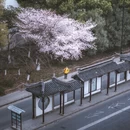 苏州旅游 缩略图 5