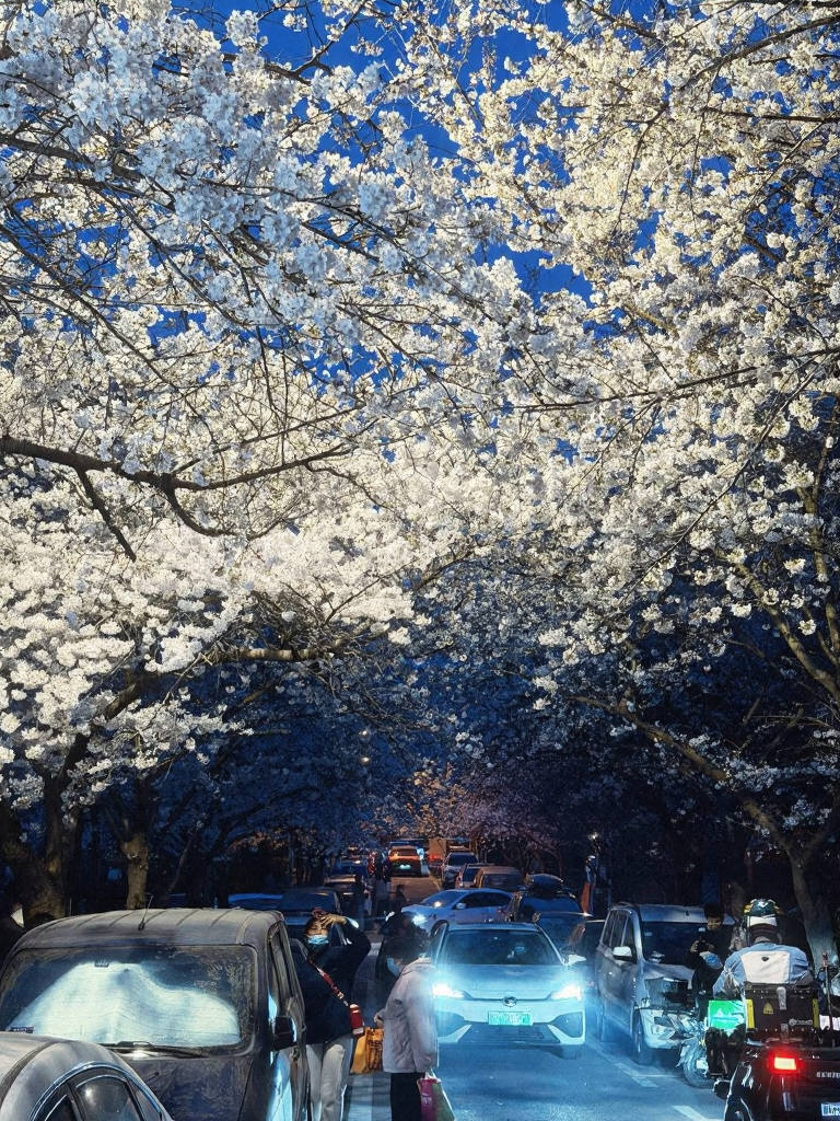 青岛旅游