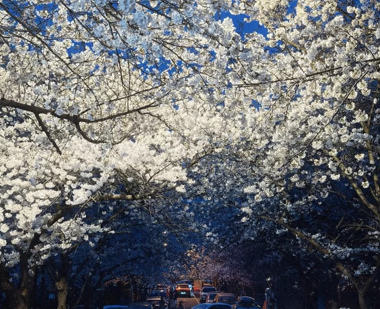 青岛旅游 1