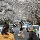 青岛旅游 缩略图 5