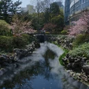 北京旅游 缩略图 3