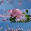 北京旅游 缩略图 4