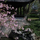 北京旅游 缩略图 9