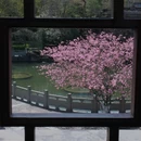 北京旅游 缩略图 5