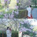 北京旅游 缩略图 6