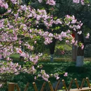 北京旅游 缩略图 8