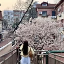 青岛旅游 缩略图 2