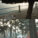 青岛旅游 缩略图 1