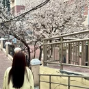 青岛旅游 缩略图 4